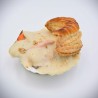 Coquille Saint-Jacques